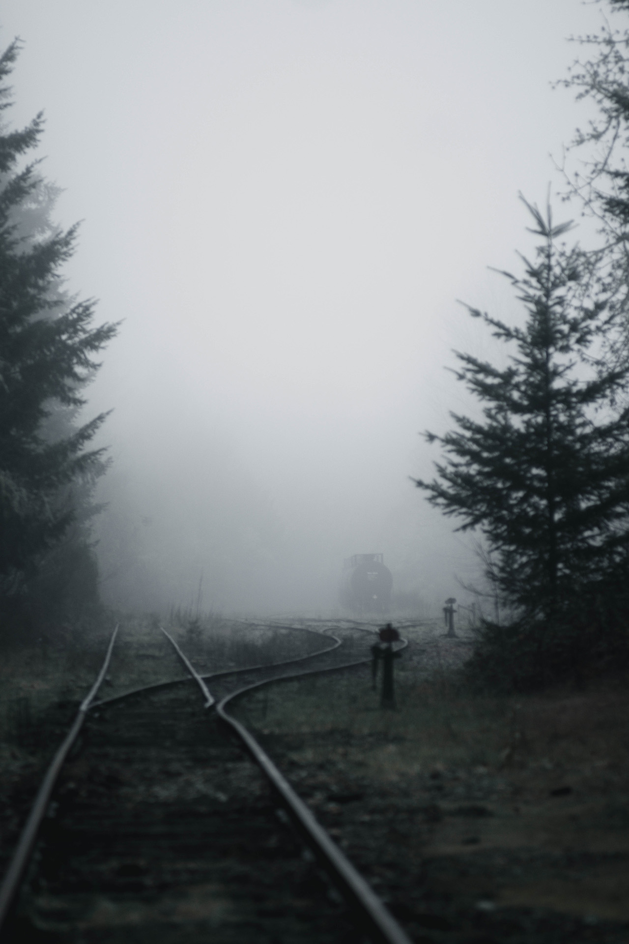 DSCF3596