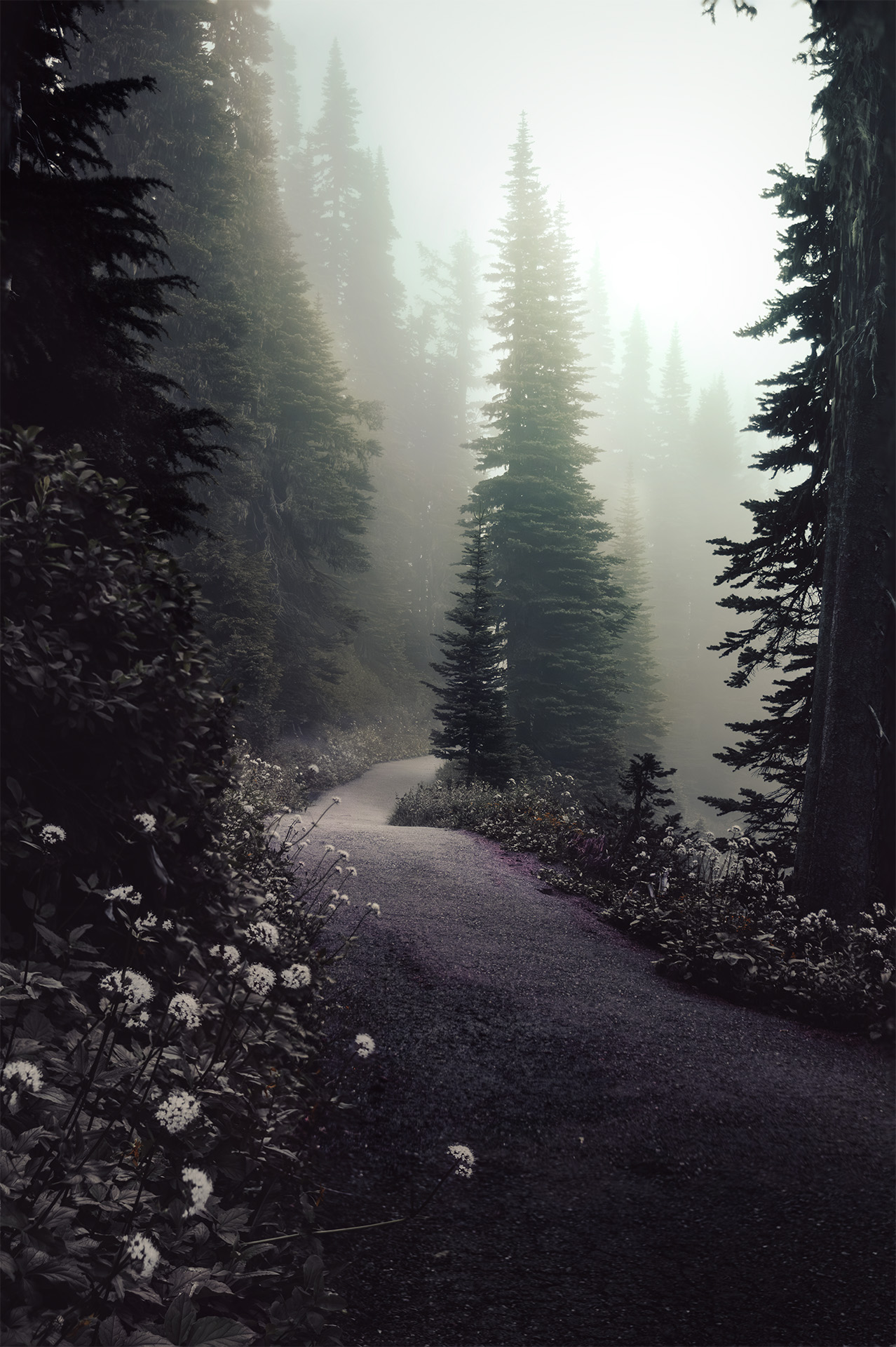 ForestTrail